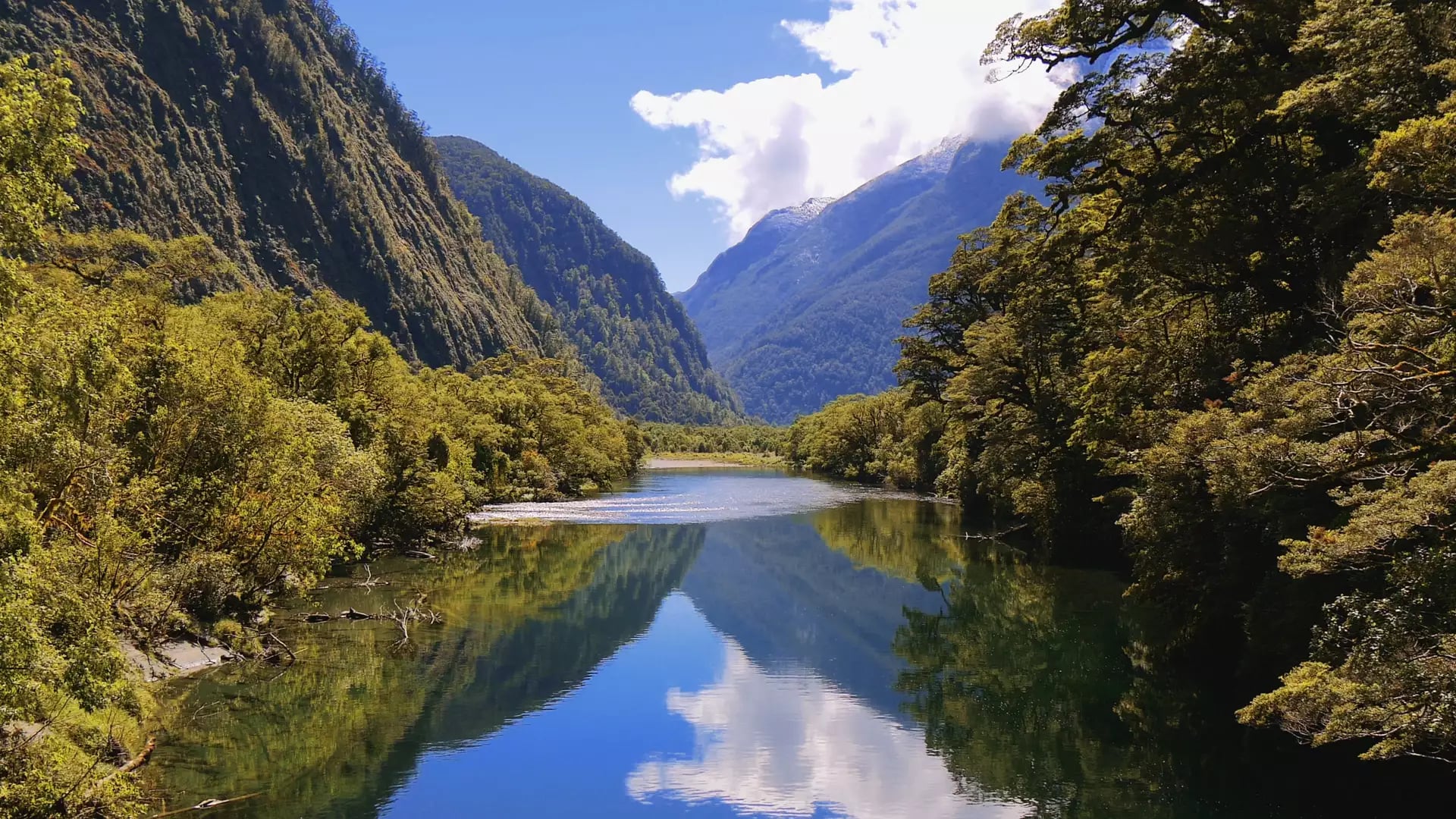 Mountain and forest with river reflecting sky on Milford Track