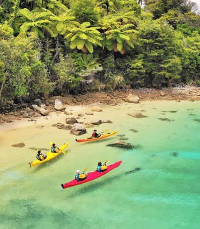 A high-angle view of four colorful sea kayaks (red and yellow) gliding over crystal-clear turquoise water next to a golden sand beach and a lush hill covered in ponga ferns.