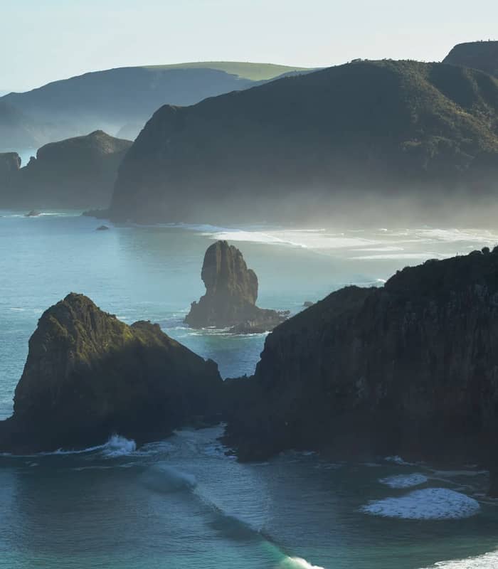 Aerial view of rugged coastline and surf at Piha Beach near Auckland