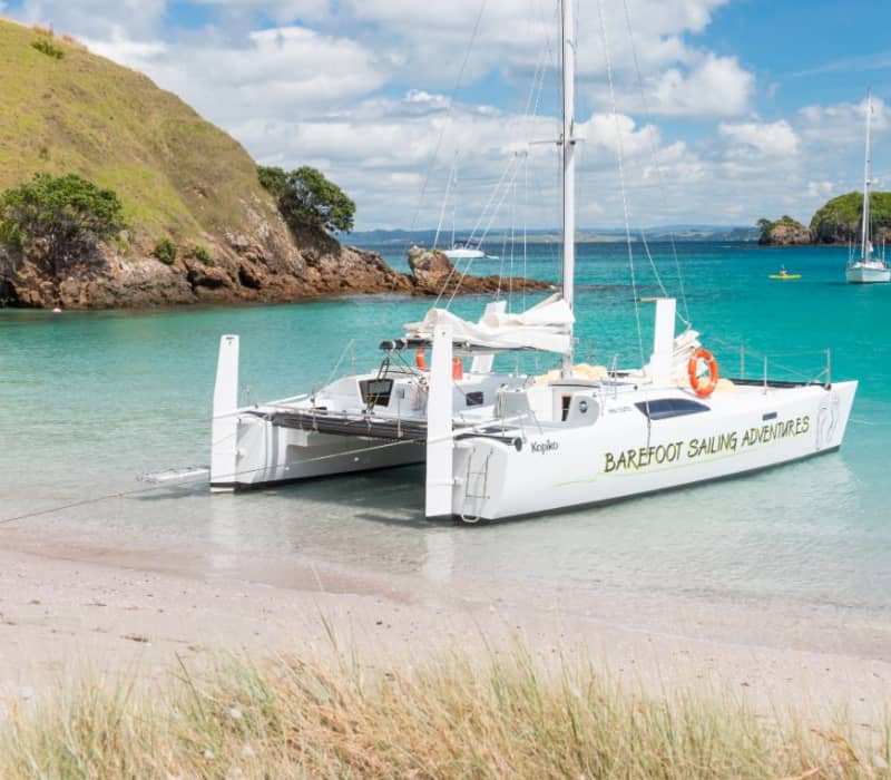 A white sailing catamaran named "Barefoot Sailing Adventures" sits in crystal-clear turquoise water just off a white sand beach in the Bay of Islands, New Zealand.