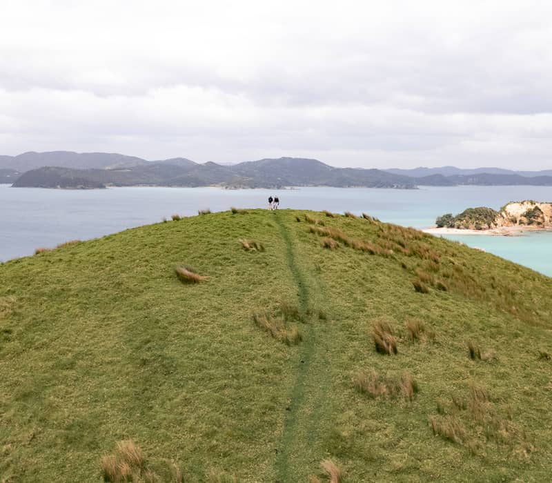 Two people standing on a grassy hill overlooking the Bay of Islands coastline.