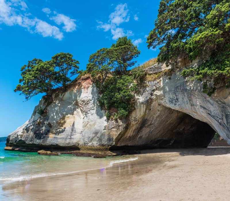Sandy beach with a large natural rock arch and trees under a bright blue sky at Cathedral Cove.