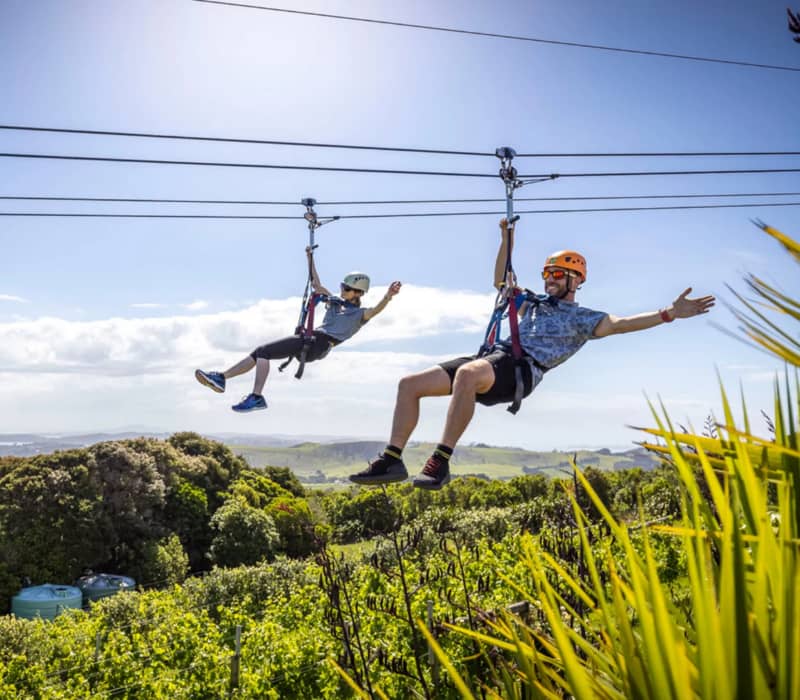 Two people in helmets and harnesses fly through the air on side-by-side ziplines over a lush green vineyard and native forest under a bright, sunny sky on Waiheke Island.