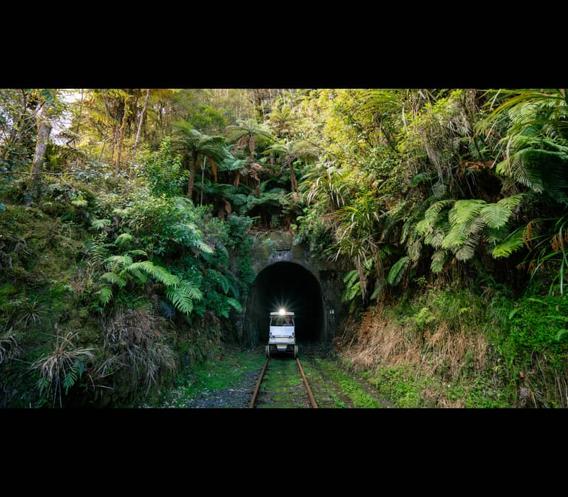 A rail cart emerging from a dark tunnel surrounded by dense green trees and ferns in a forest.