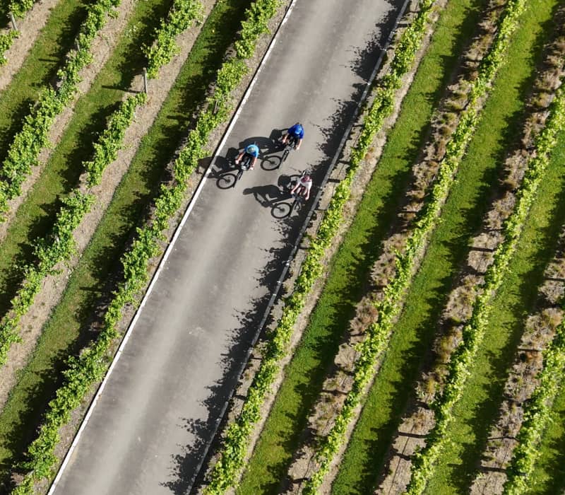 GreatTasteTrail_winery_seifried.png