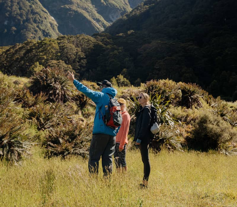 Hikers listening to a guide pointing towards mountains in a grassy valley.