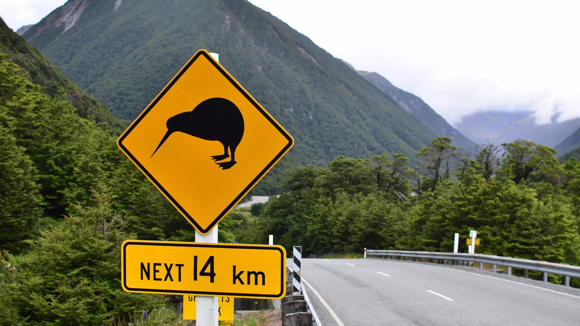 Road in New Zealand with a kiwi crossing sign and mountains in behind