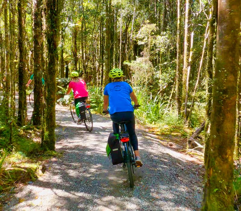 Two people cycling on a gravel trail through a sunlit forest with tall trees and dense greenery.