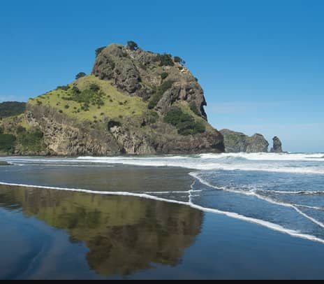 A large, volcanic rock formation resembling a seated lion stands on a black sand beach, with its reflection visible in the retreating tide under a clear blue sky at Piha.