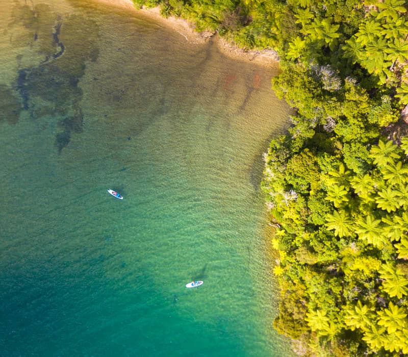 A high-angle drone shot showing two white paddleboards on crystal-clear turquoise water in a sheltered bay, bordered by a dense, vibrant green forest of native ferns.