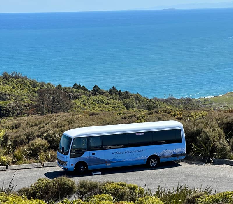 Pure Discoveries Coach in the South Island, portrait.png