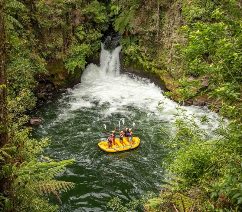 A group of rafters in a yellow boat cheer with their paddles raised in the dark green water at the base of a powerful white waterfall, surrounded by a dense canopy of New Zealand ferns and forest on the Kaituna River.