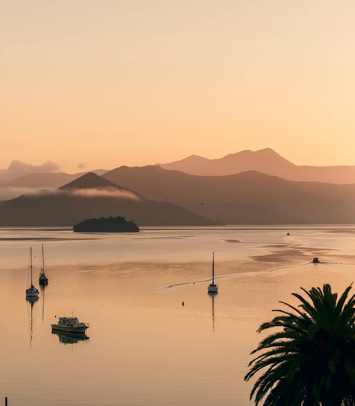 Sunrise over Picton Bay with boats and palm trees, mountains in the background
