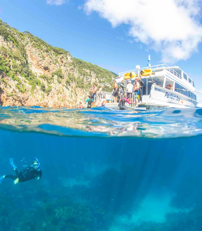 A split-level shot showing a snorkeler underwater in clear blue sea among fish and kelp, with a white tour boat and steep, forest-covered cliffs visible above the waterline.