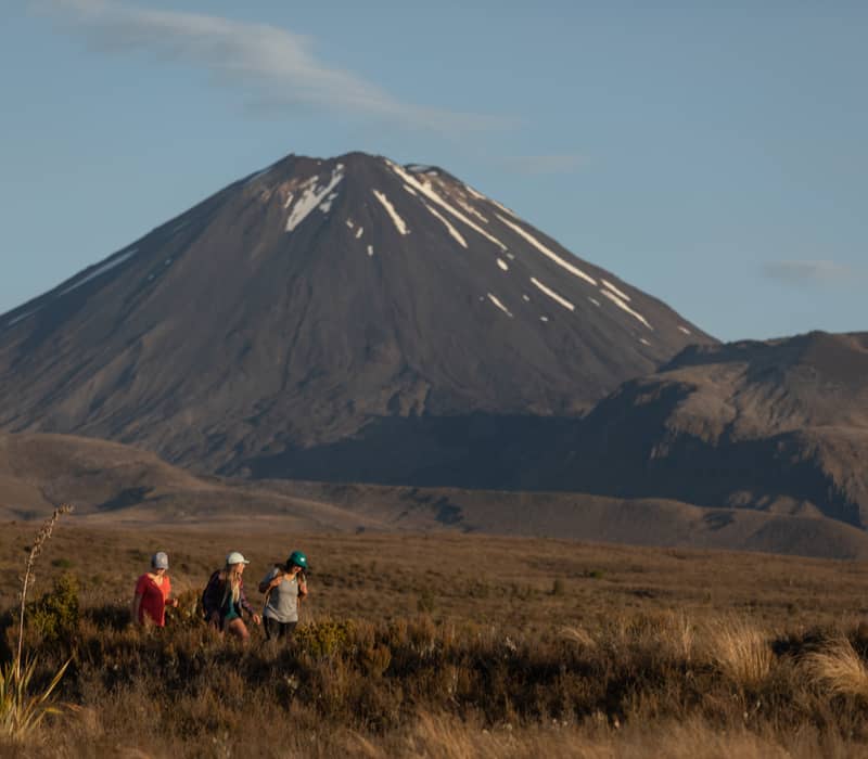 Tongariro hikers