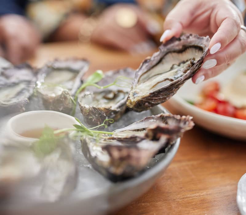 Hand holding a freshly shucked oyster over a plate of oysters on ice at Waiheke Island.