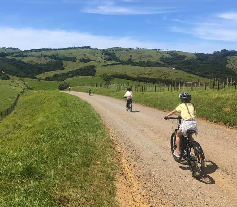 A group of cyclists, including a girl in a yellow shirt, ride mountain bikes along a winding gravel road through rolling green farmland and hills under a clear blue sky on Waiheke Island.
