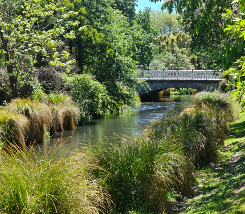 River flowing under a bridge with lush green trees and grass on a sunny day.