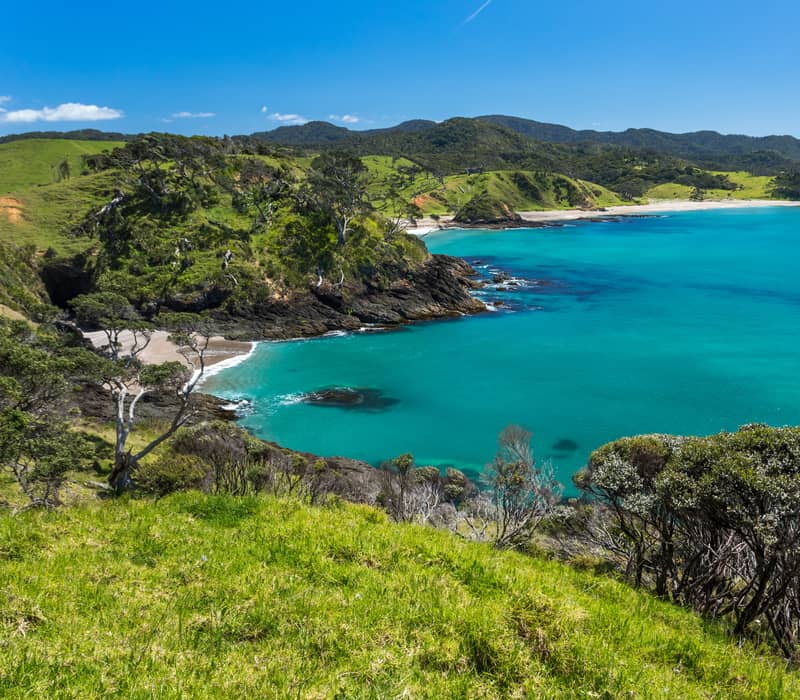 Turquoise bay surrounded by green hills and trees with a clear blue sky.