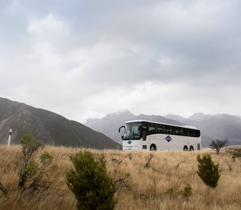 Gray Line coach bus on a winding road with snow-capped mountains and cloudy sky in the background.