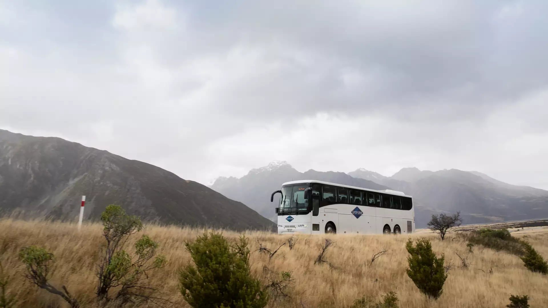 Gray Line coach bus on a winding road with snow-capped mountains and cloudy sky in the background.