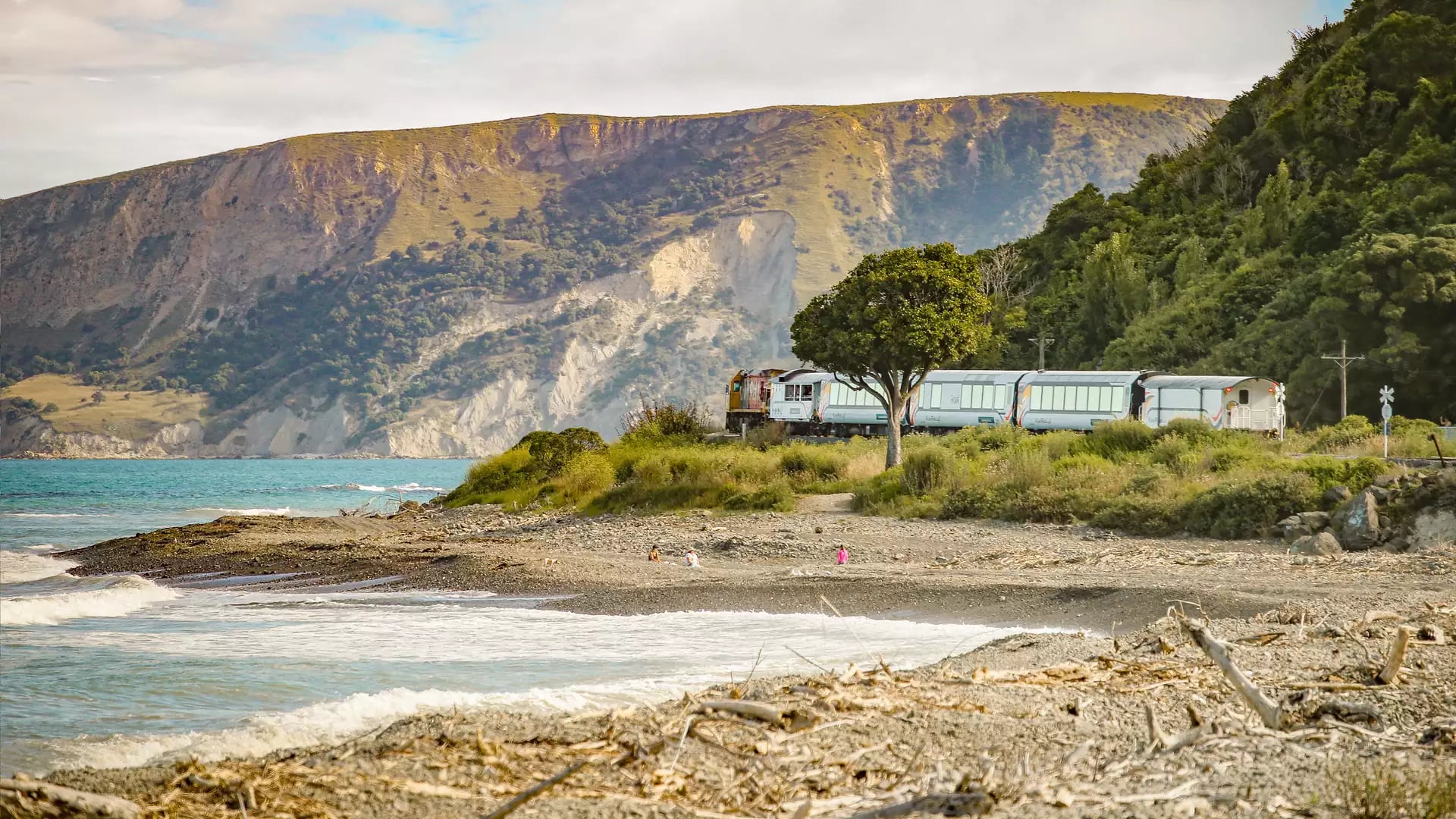 Train moving along beach coastline with mountains and ocean in the background.
