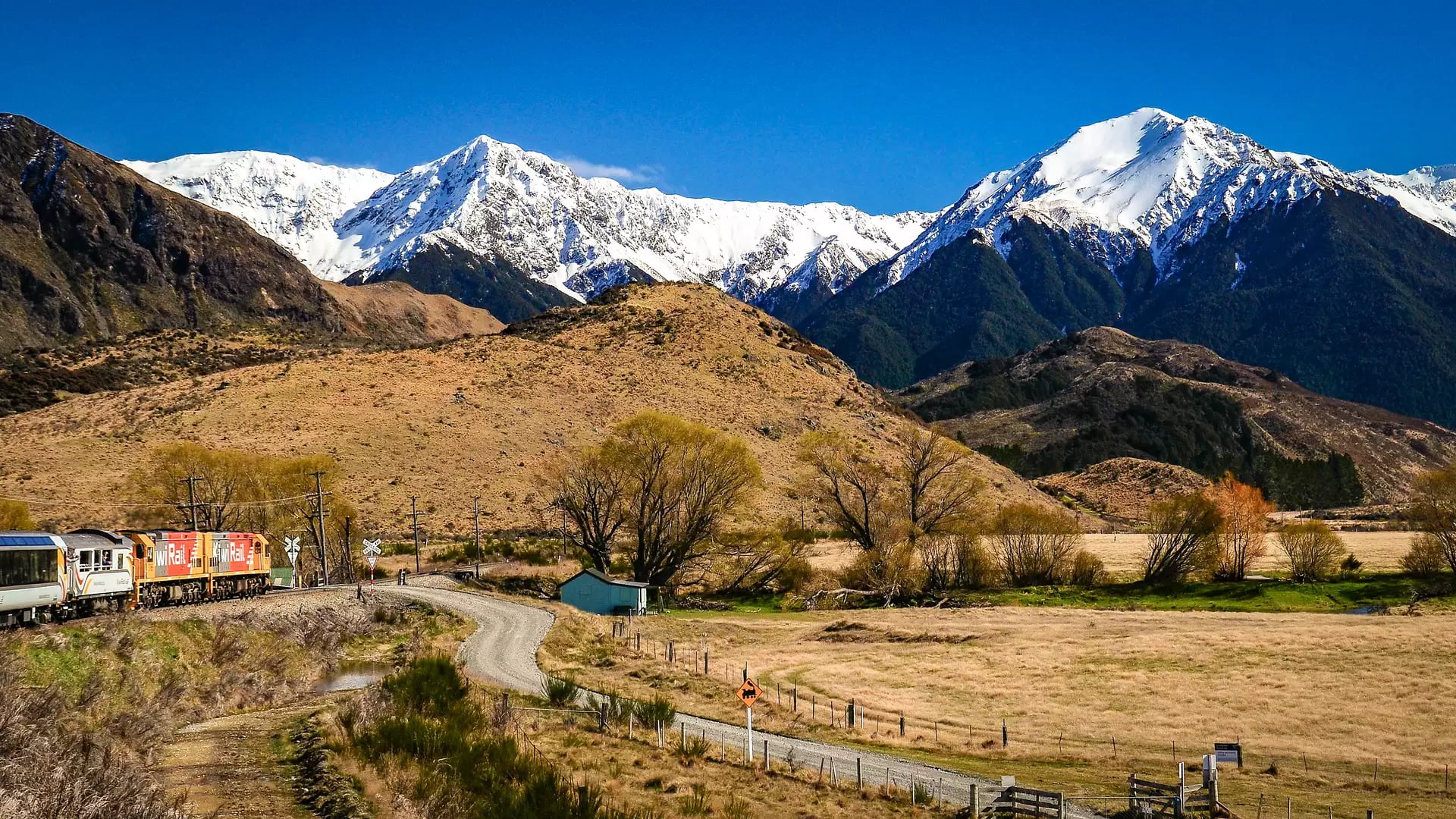 Scenic train traveling near snow-covered mountains with dry valley and trees in foreground under blue sky
