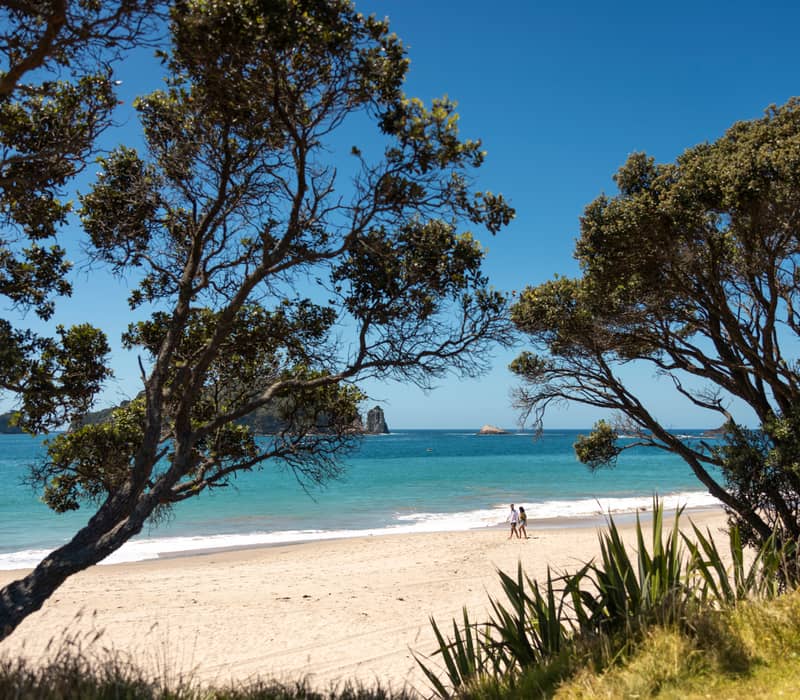 Couple walking on sandy beach with blue ocean and trees framing the scene under clear sky.