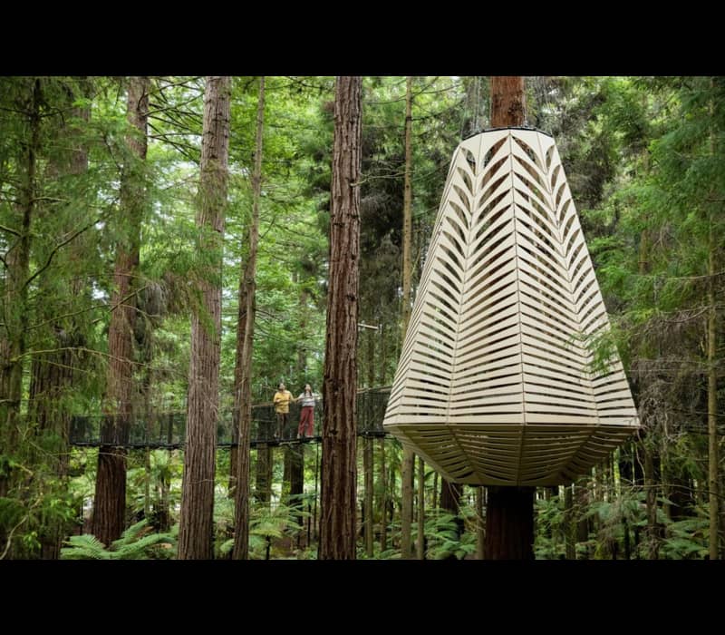 Two people walk on a suspension bridge next to a large lantern-shaped wooden structure in a lush redwood forest.