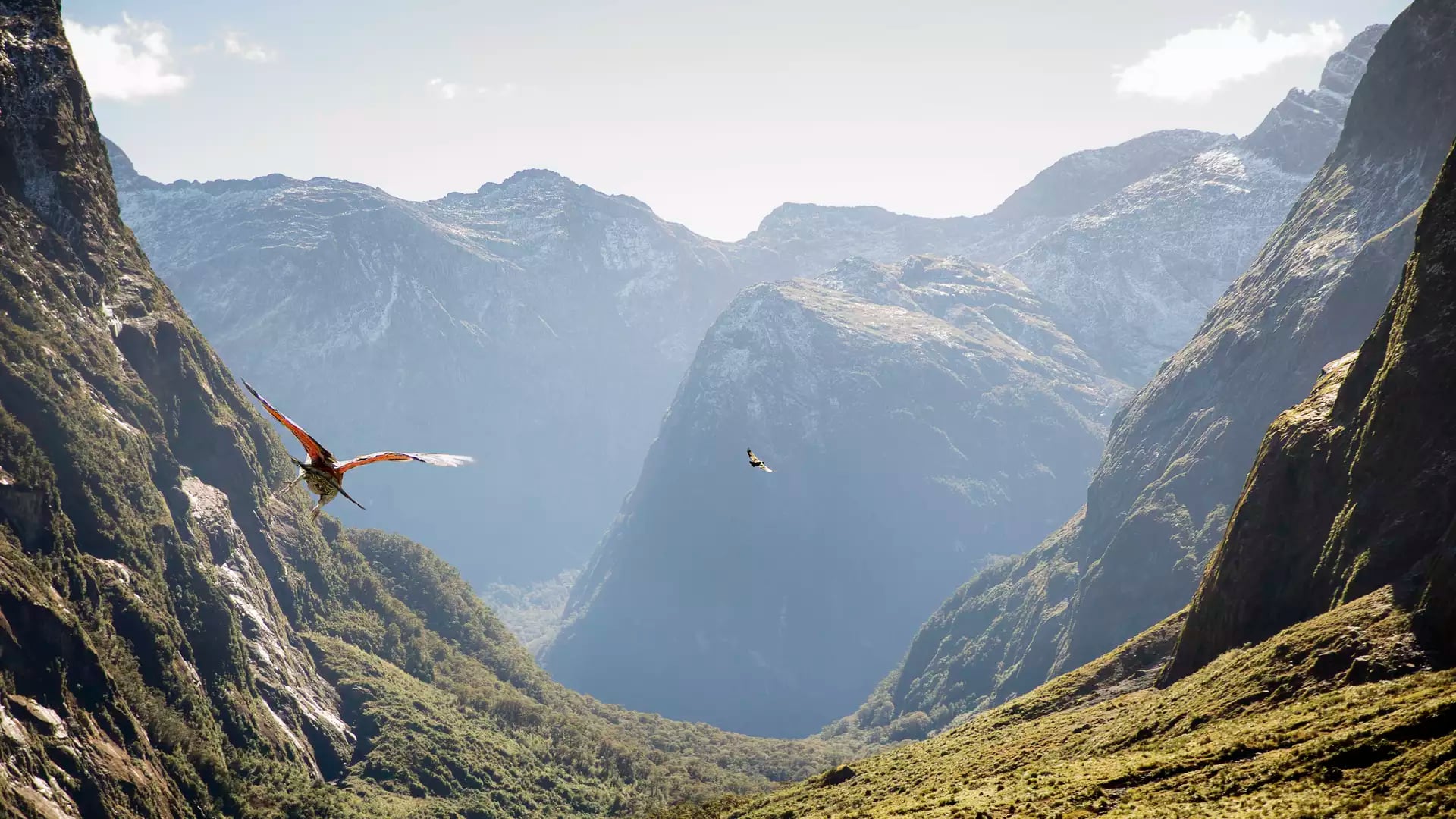 Birds flying over a green valley surrounded by tall mountains under a clear sky.