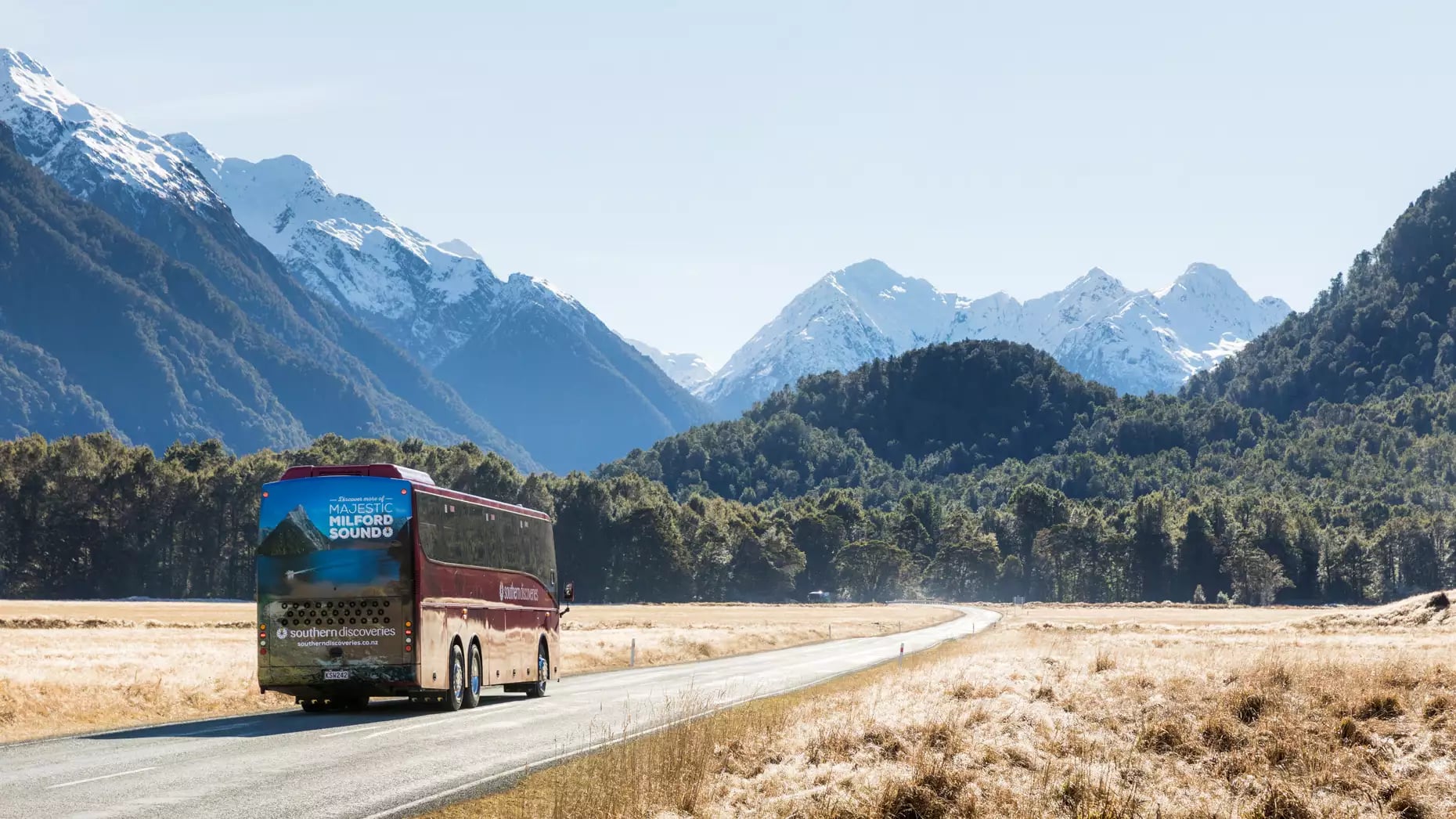 Coach driving on a road through Hollyford Valley with snow-capped mountains in the background.