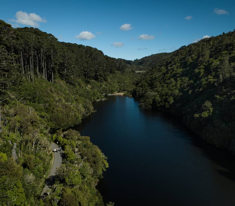 Drone photo of river and dense forest at Zealandia Te Māra a Tāne with blue sky and clouds